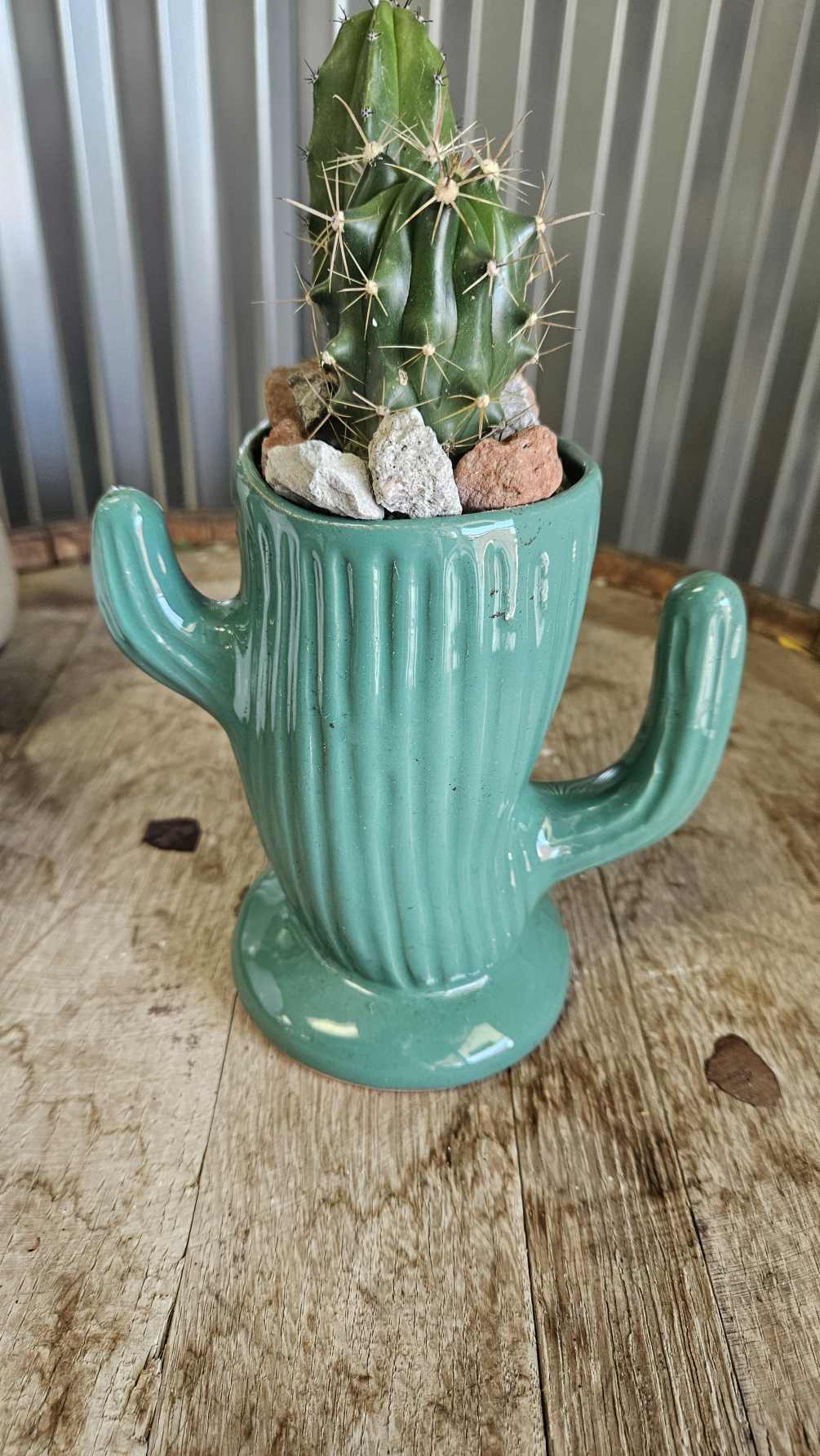 Vintage Cactus planter with Cactus planted in the top. 