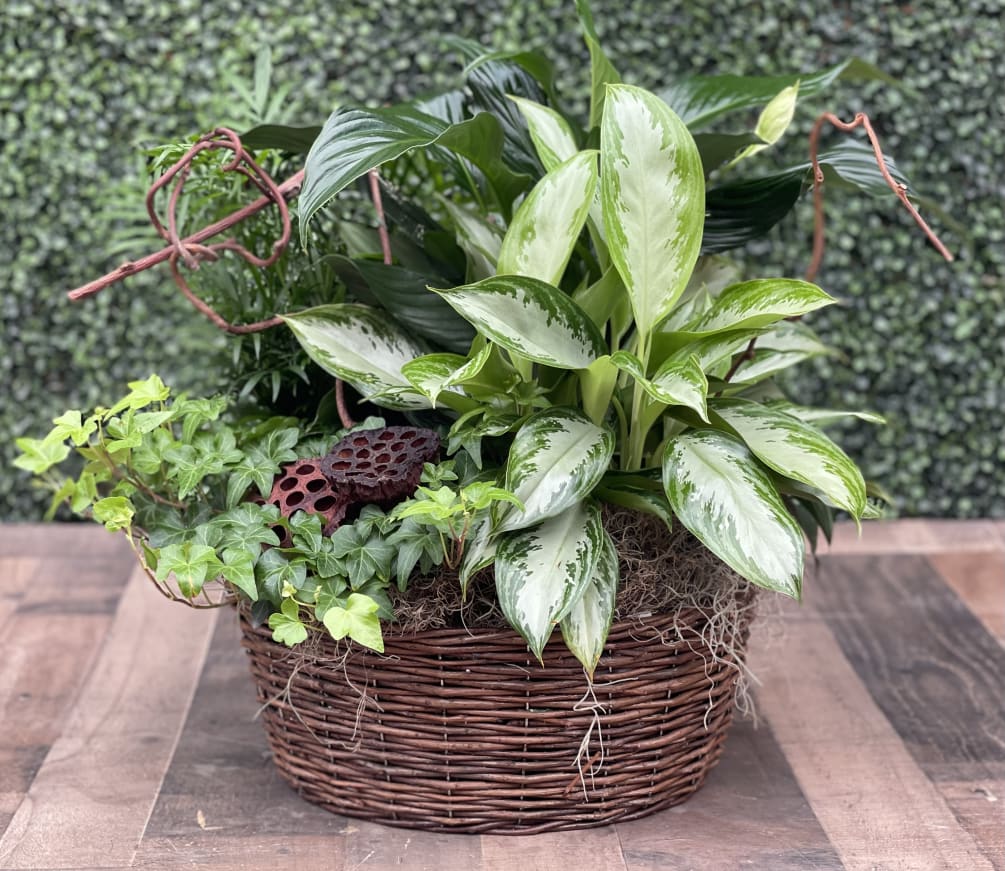 A decorative wood box with ivy, palm, aglaonema and more, topped with