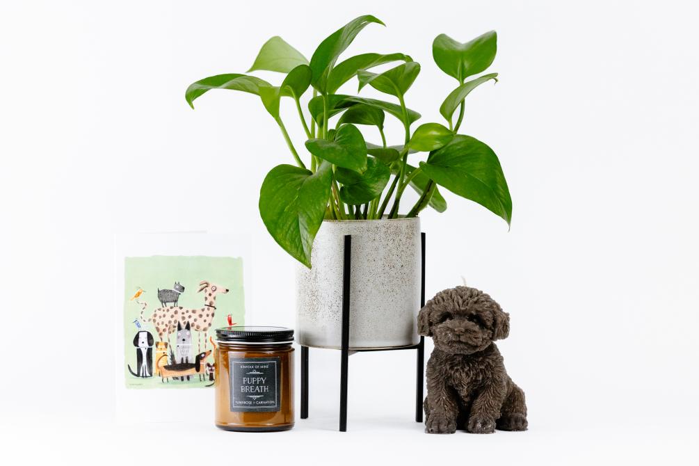 Give this gift set to anyone who has a furry best friend.