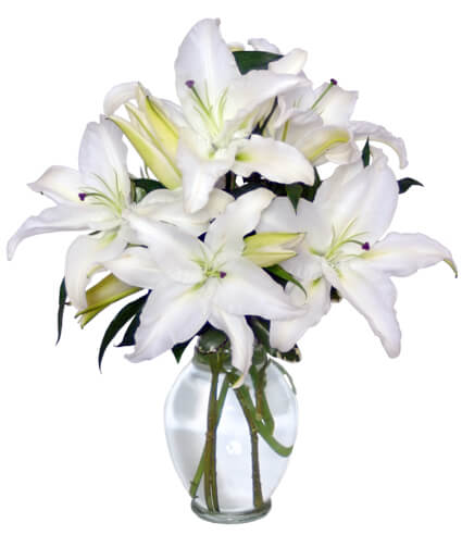 Elegant arrangement in white 