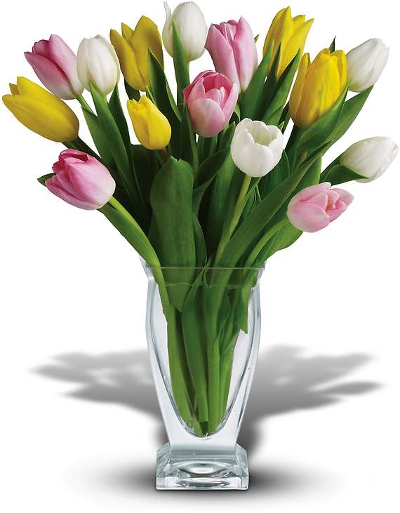 Blooms this beautiful don&#039;t need decoration! Fifteen tantalizing tulips in soft spring