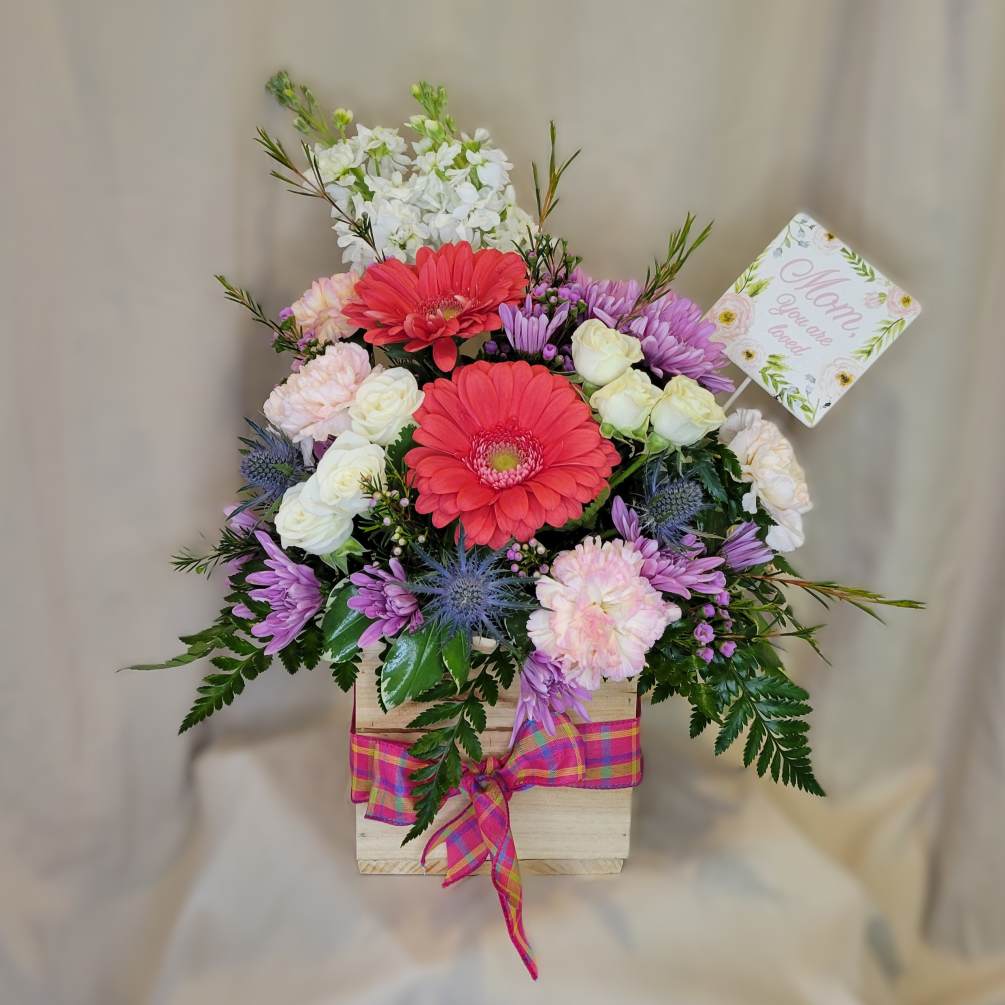 Bright Garden mix of pure love! Gerbera Daisies, Stock, Spray Roses, Thistle