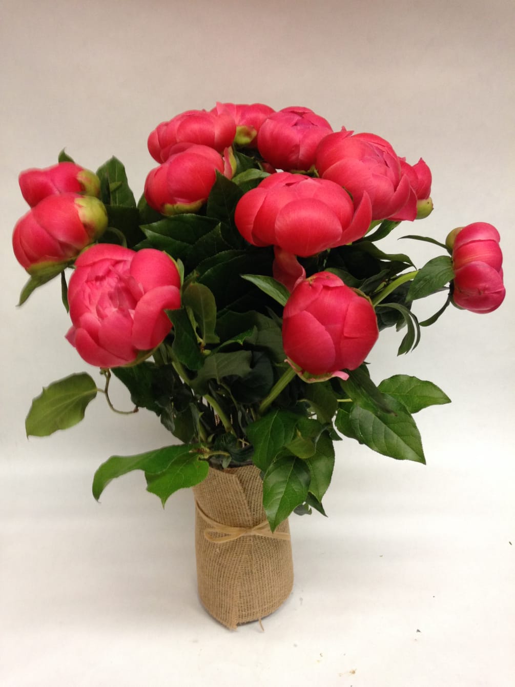 12 stems of gorgeous peonies in a medium sized vase wrapped with
