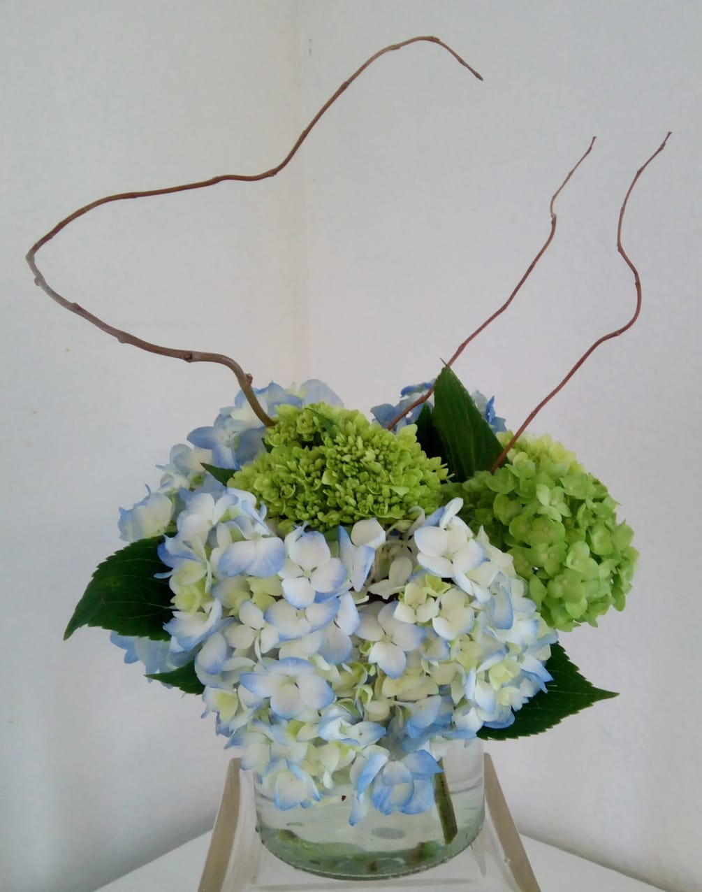 Mix of green and blue hydrangea in a wide cylinder vase