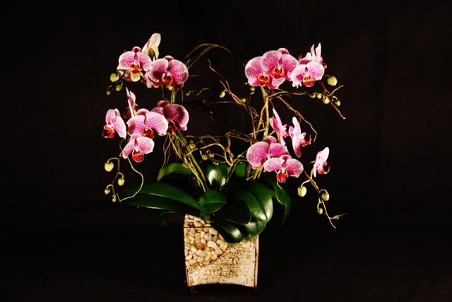 Four stem pink orchids in a glass vase