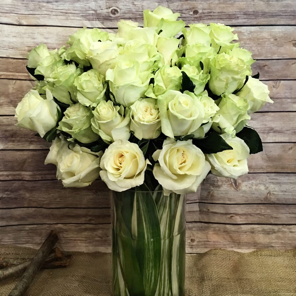 MODERN, LUSH AND EXTRAVAGANT  50 WHITE  ROSES IN GLASS CYLINDER.