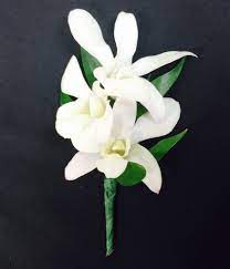 white dendrobium orchid Boutonniere

DUE TO SUPPLY CHAIN ISSUES ALL PROM FLOWERS MAY*