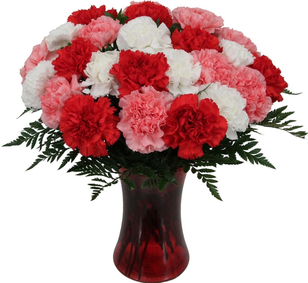Red and White and Pink Carnations 
