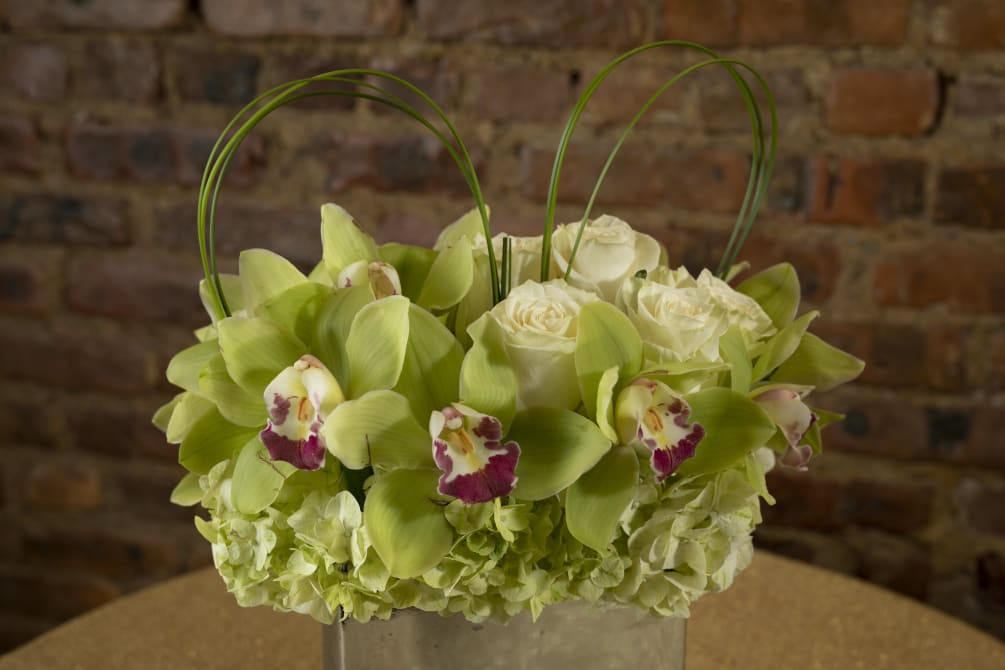 A gorgeous display Green Cymbidium Orchidl floral blooms designed in a decadent