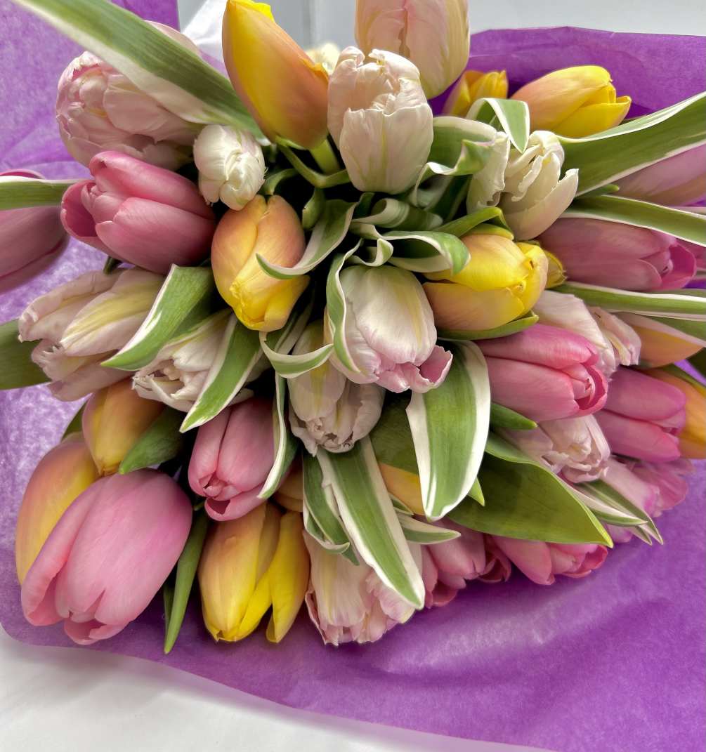 Seasonal special- We love tulips so much we started a whole tulip
