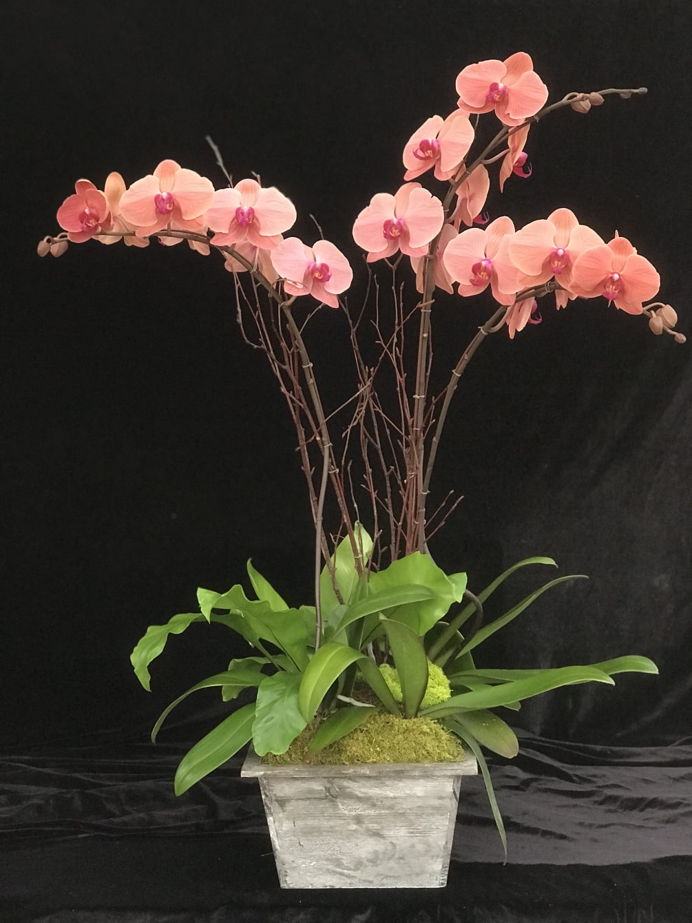 Hot warm color Phalaenopsis Orchid arrangement 