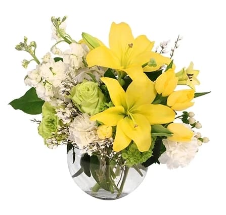 Pamper them with luxury by sending this marvelous bouquet! Featuring beautiful lilies
