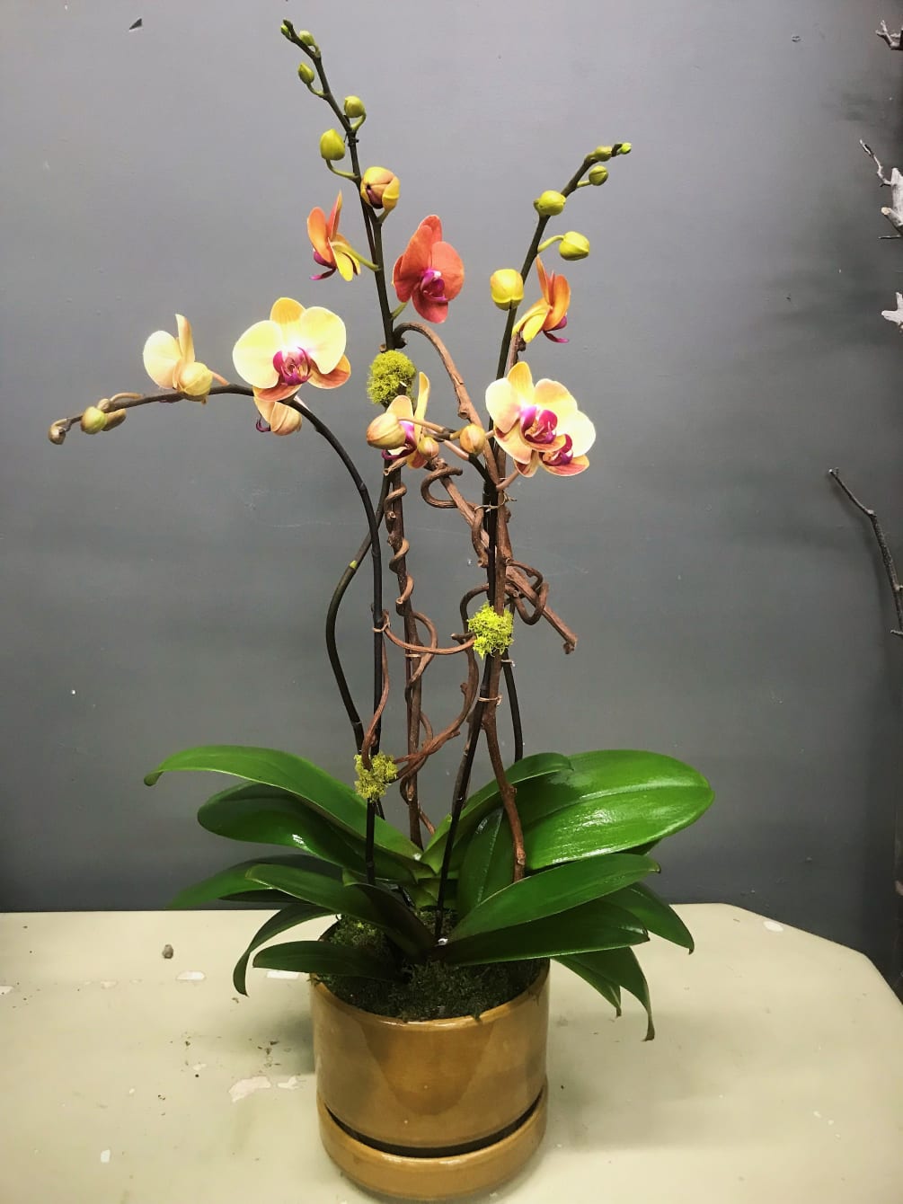 Designed arrangement  with two of fall color orchids in a ceramic