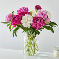 FRESH PEONY BOUQUET - FOR MOTHER&#039;S DAY WEEK ONLY .
Send a spring