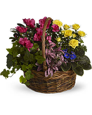 A vibrant selection of seasonal blooming and green plants in a charming
