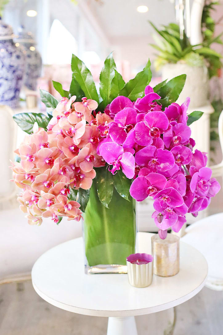 A  perfect combination of sweet peach and mesmerizing magenta orchids.

Featured Flowers: