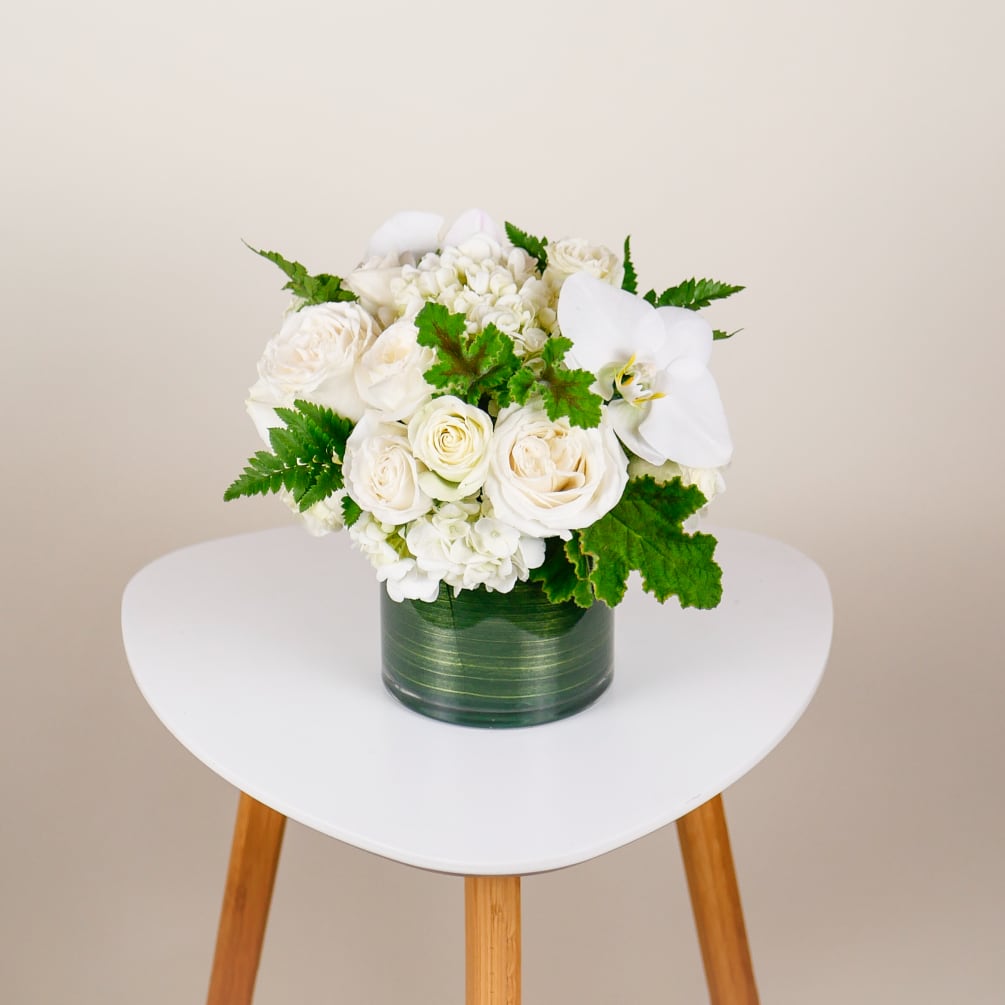 This delicate arrangement uses a lush, compact design to showcase beautiful Playa