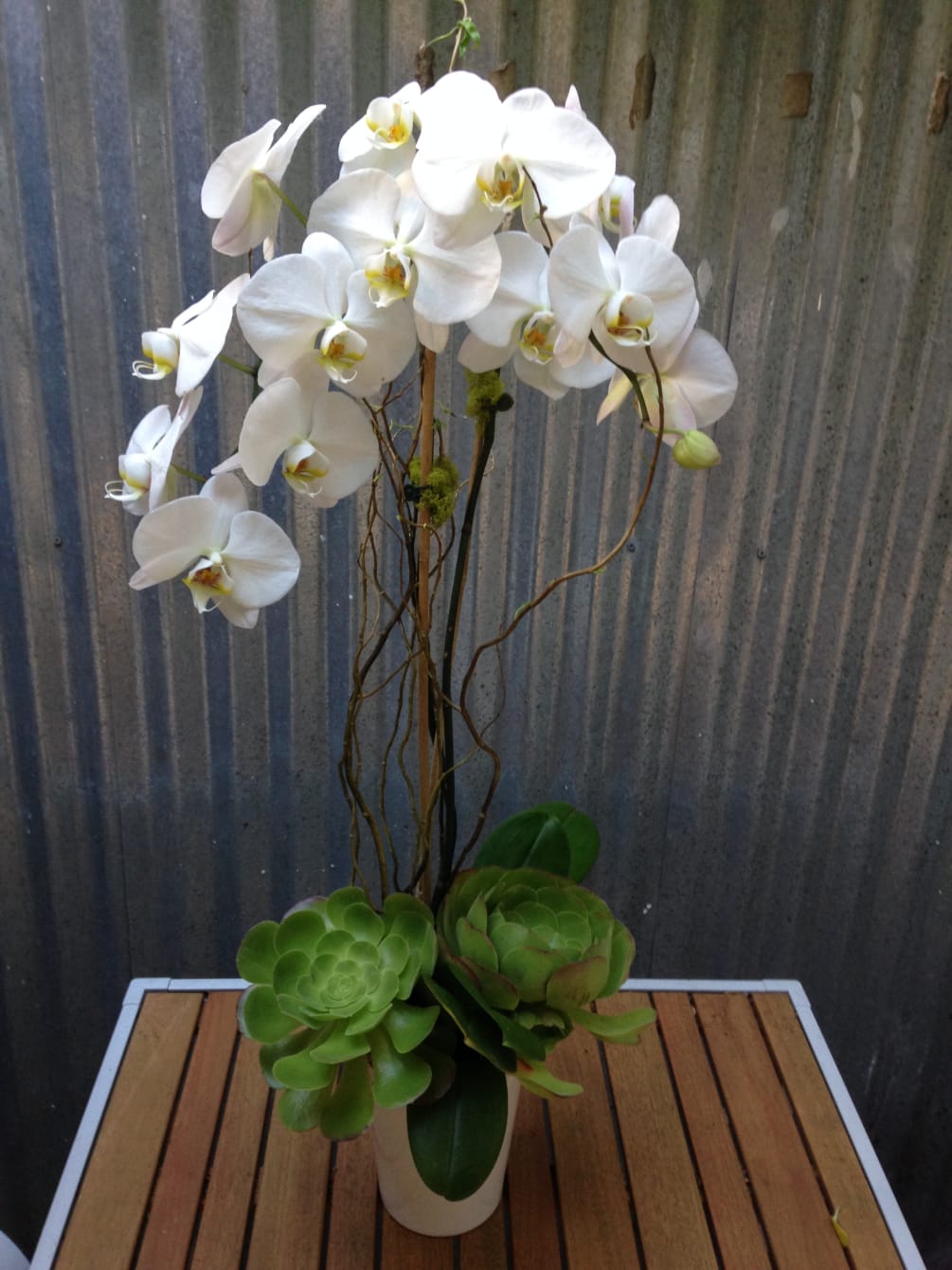This beautiful Phalaenopsis orchid is paired with over-sized succulents in a white
