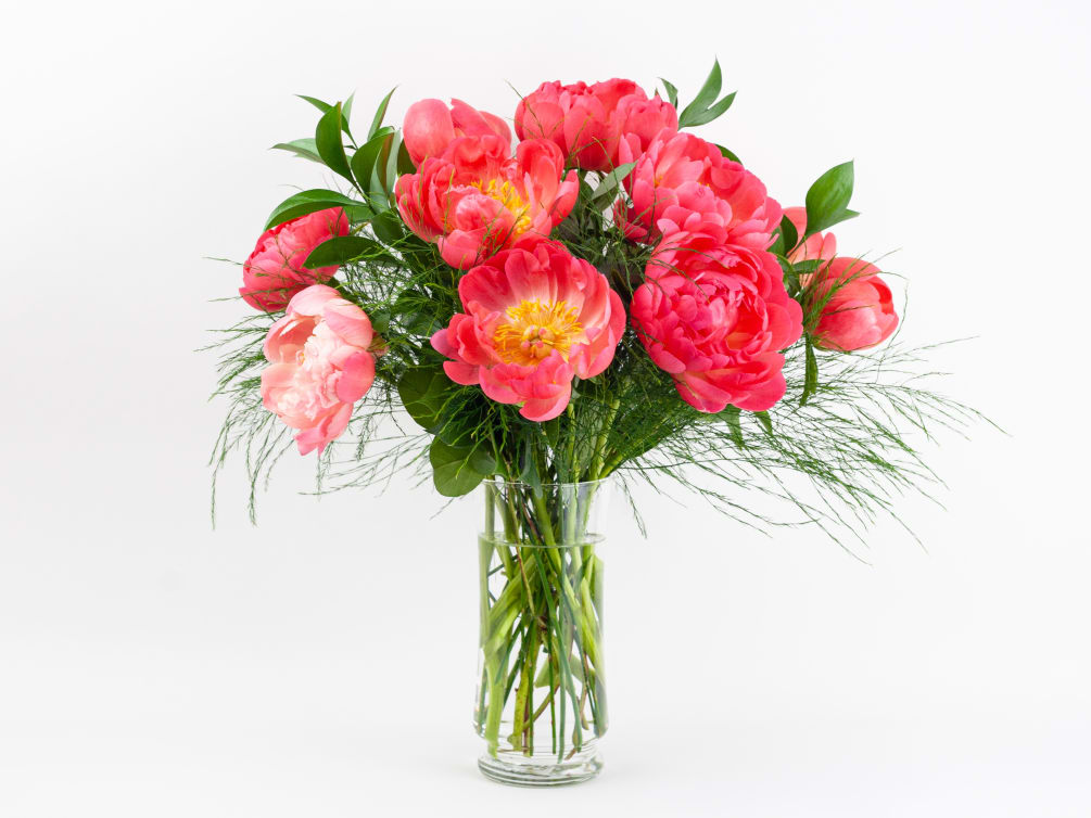 CORAL PEONIES DELIVERED IN VASE

Stunning and luxurious. A celebration of peonies, this