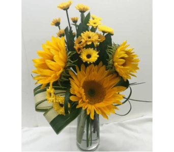 vase of sunflowers and vyking mums with aspidistra and lily grass