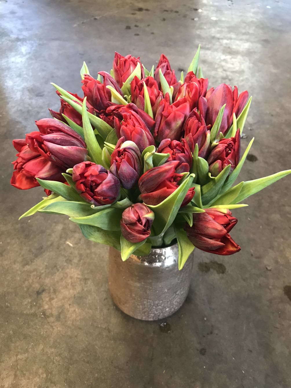 With a touch of spring, this bunch of tulips will brighten your