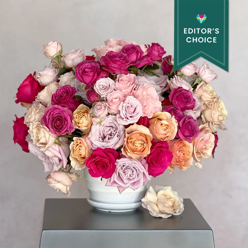 An exquisite and vibrant display of AS PICTURED 50 colorful roses and