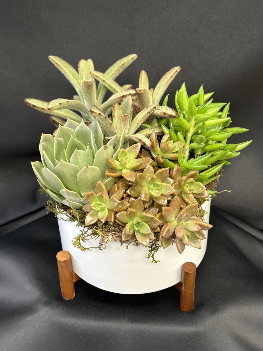 Colorful succulents planted in a vintage inspired ceramic bowl on a wood