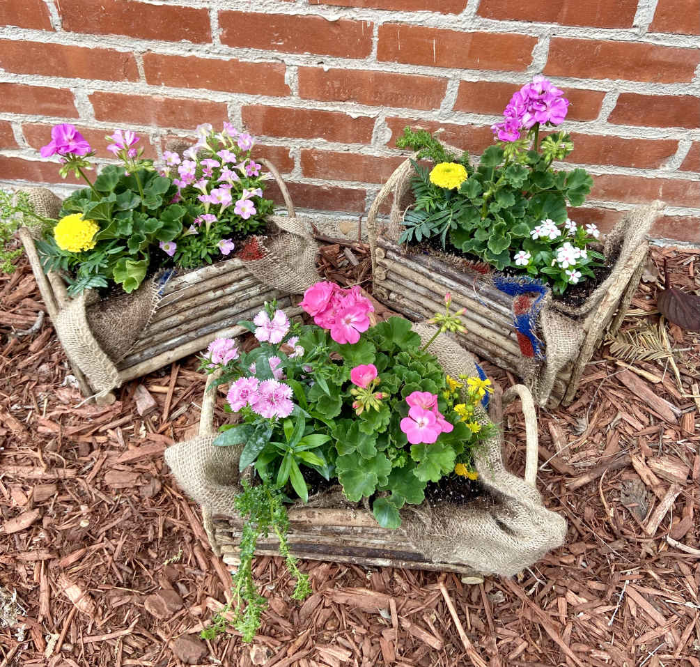 Mixed blooming plants in oval tins and trugs. Hanging baskets in fiber