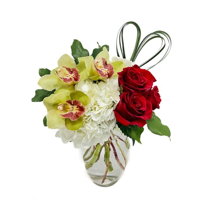Our Dazzling Orchid arrangement is designed with Red Roses, Yellow-Green Cymbidium Blooms