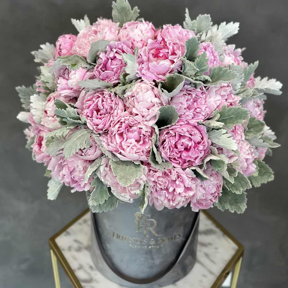 A magnificent arrangement of 33-35 Peonies mixed with Dusty Miller in our