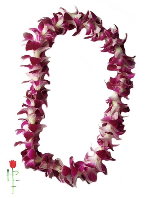Single purple dendrobium orchid lei.

NOTE: Please be aware the it takes 2