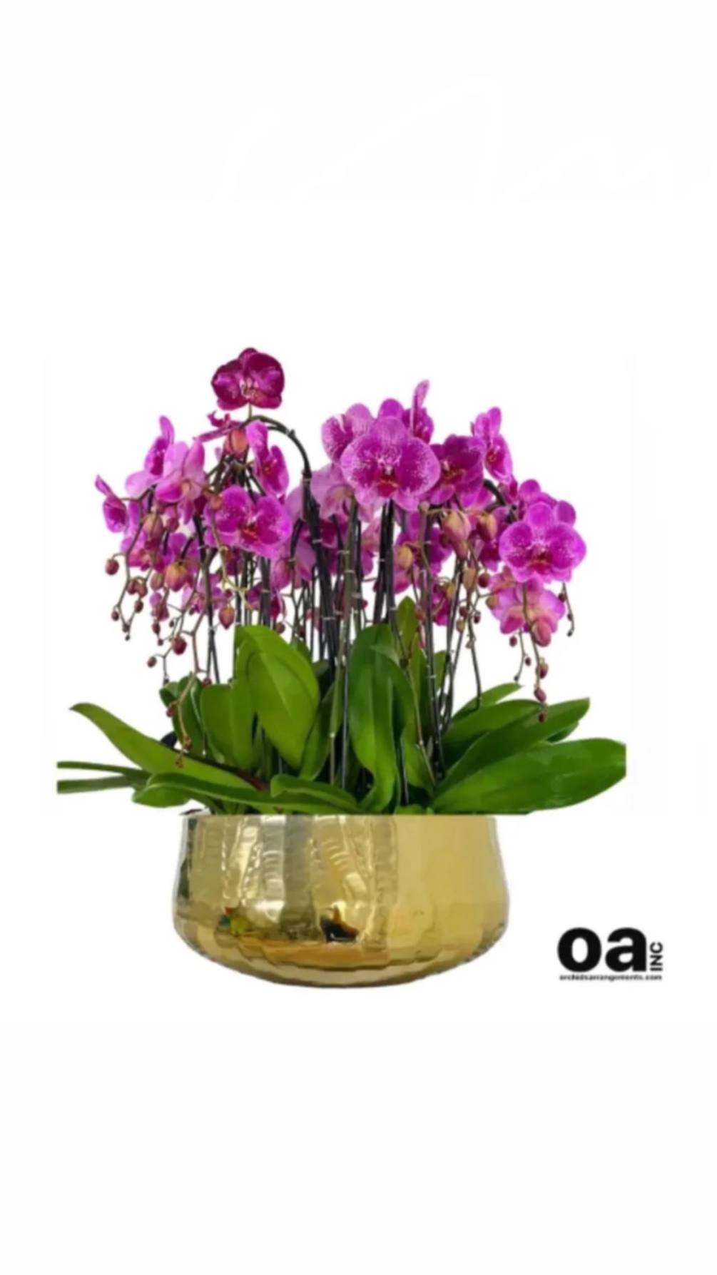 Doral floral orchids by Orchids Arrangements