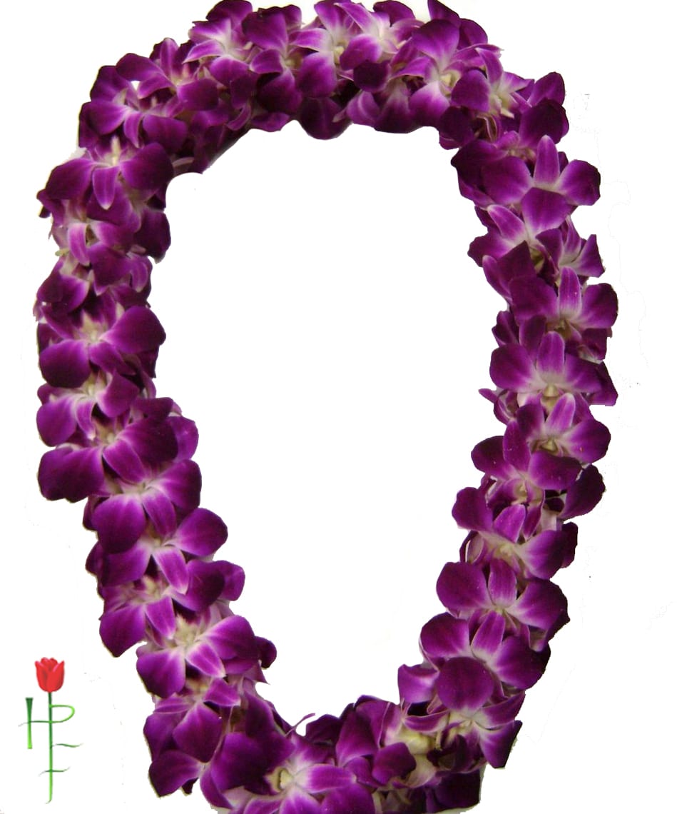 Double purple dendrobium orchid lei. 

NOTE: Please be aware the it takes