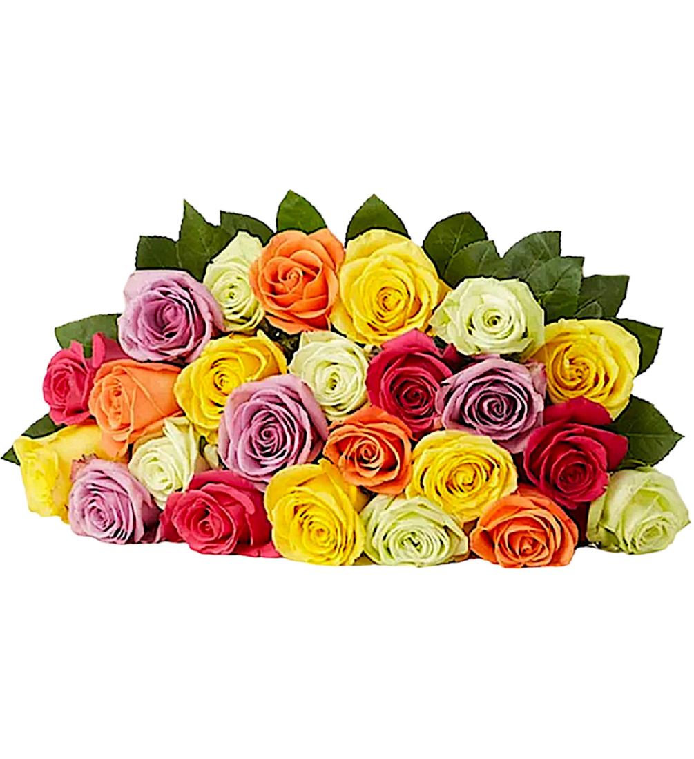Two Dozen Assorted Roses for Romance by Ninfa's Flowers