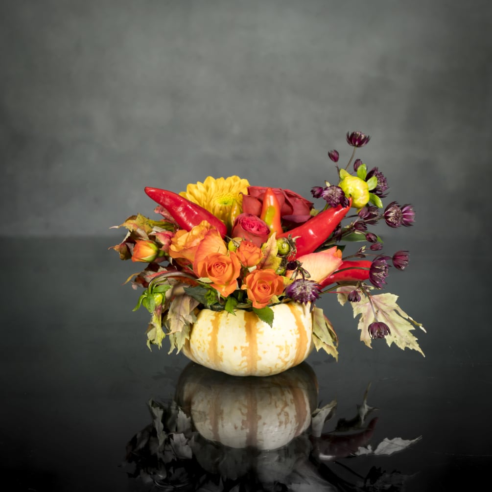 Pumpkin Chilli Spice by My Beverly Hills Florist