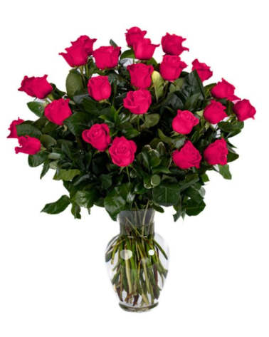 Two Dozen Hot Pink Roses