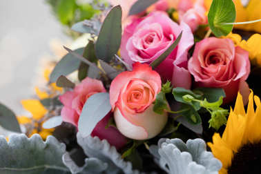Bouquet of pink roses with yellow sunflowers and gray-green foliage