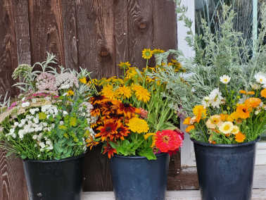 Three buckets of mixed wildflowers in front of a wooden wall
