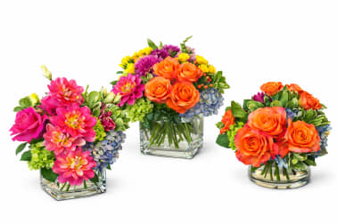 Seasonal Designers Choice