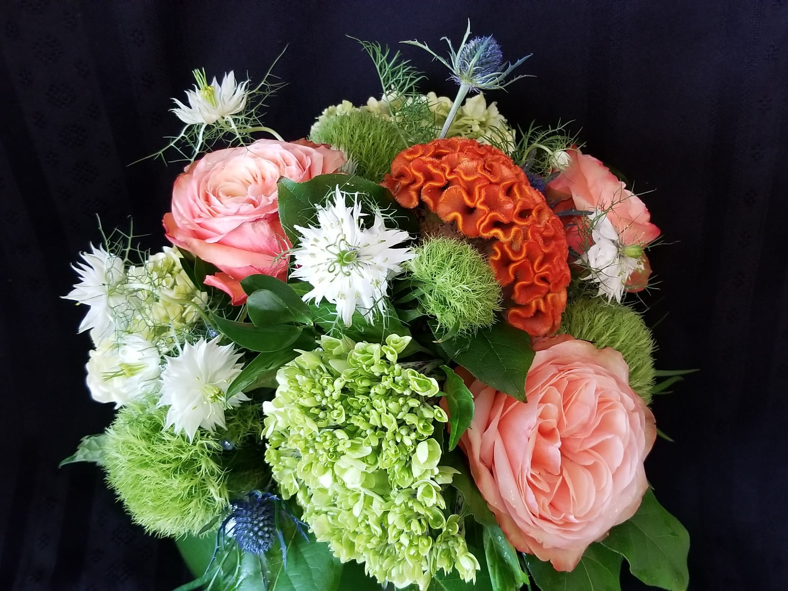 Wholesale Flowers Katy Tx / Carina in Katy, TX Passion Flowers The