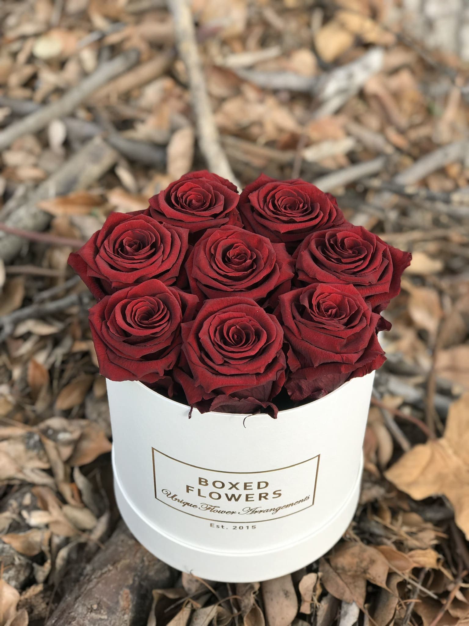 Small preserved rose box in Glendale, CA | Boxed Flowers and Sweets