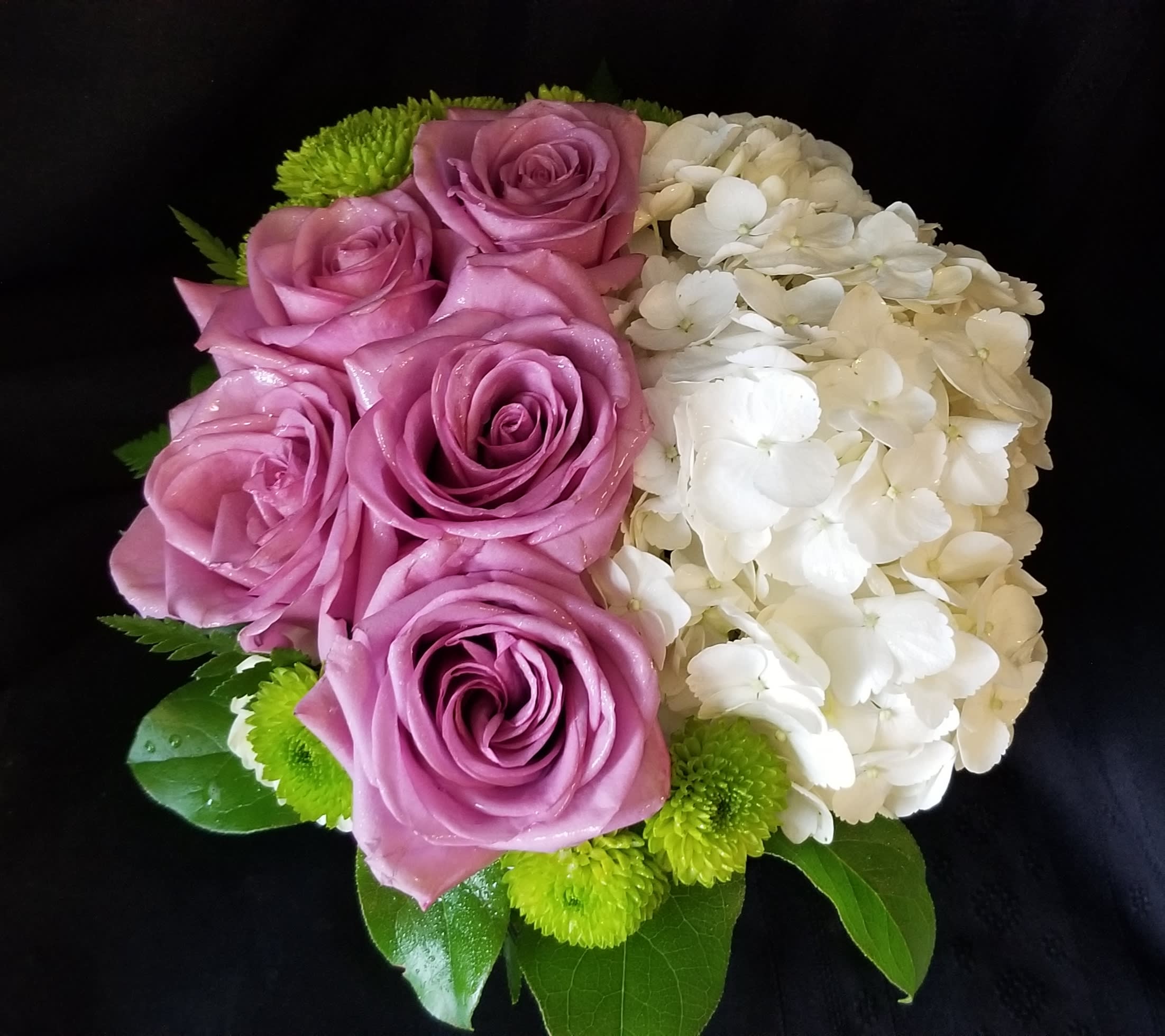Carina in Katy, TX | Passion Flowers