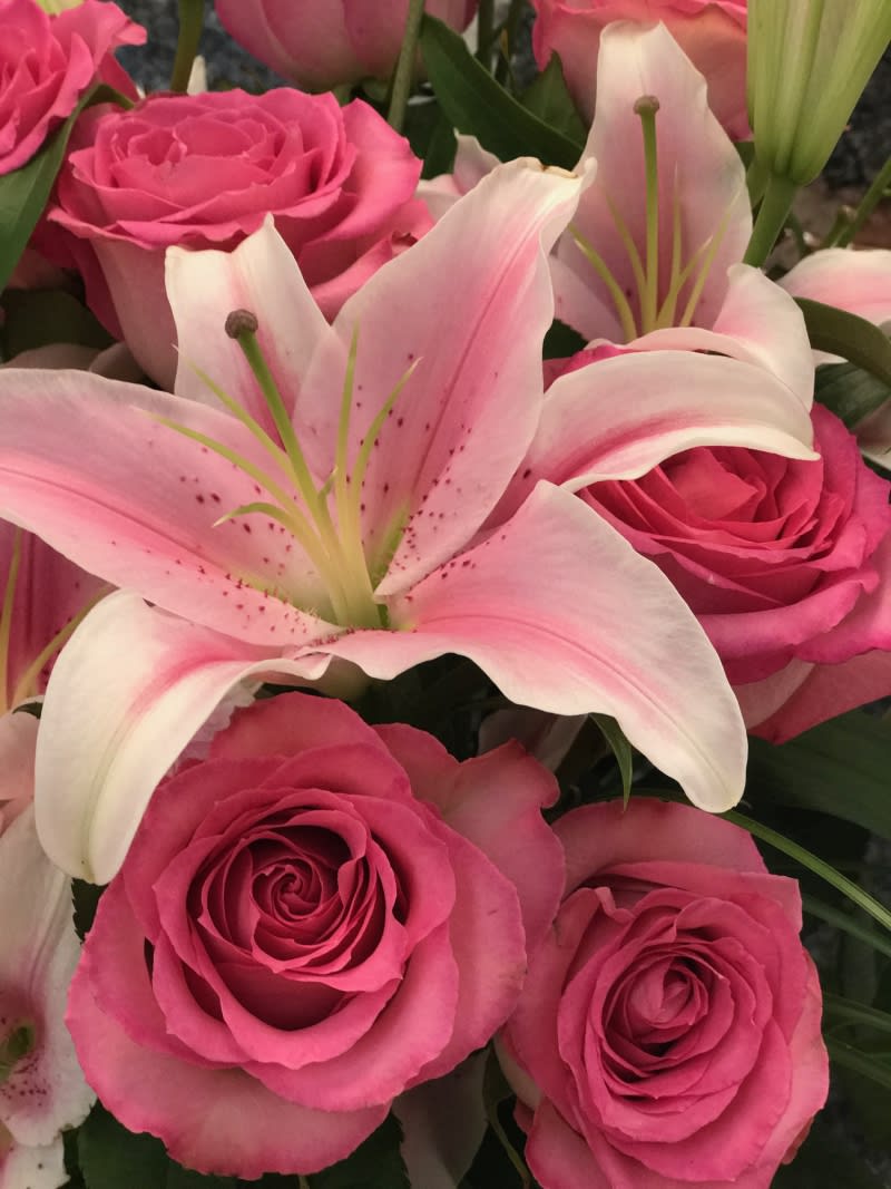 Stargazer Lilies With A Dozen Pink Roses in Fort ...