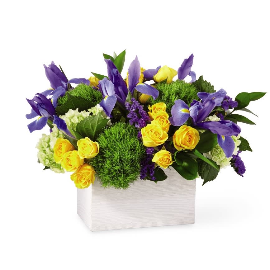 Fields of Iris in Wilmington, DE | Ramones Flowers