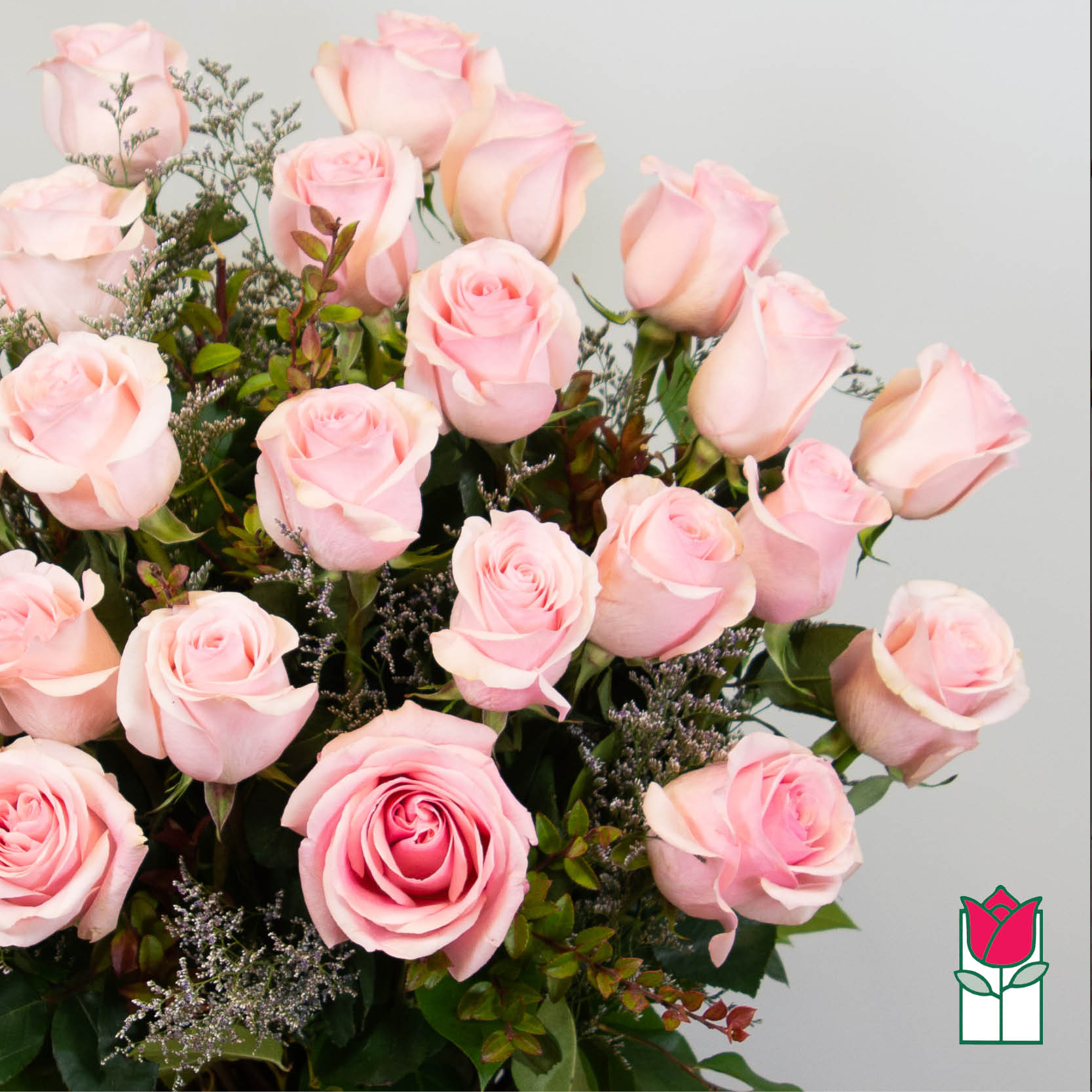 Beretania's 2 Doz. Extra Long Stem Pink Rose Bouquet (Pink Hue May Vary