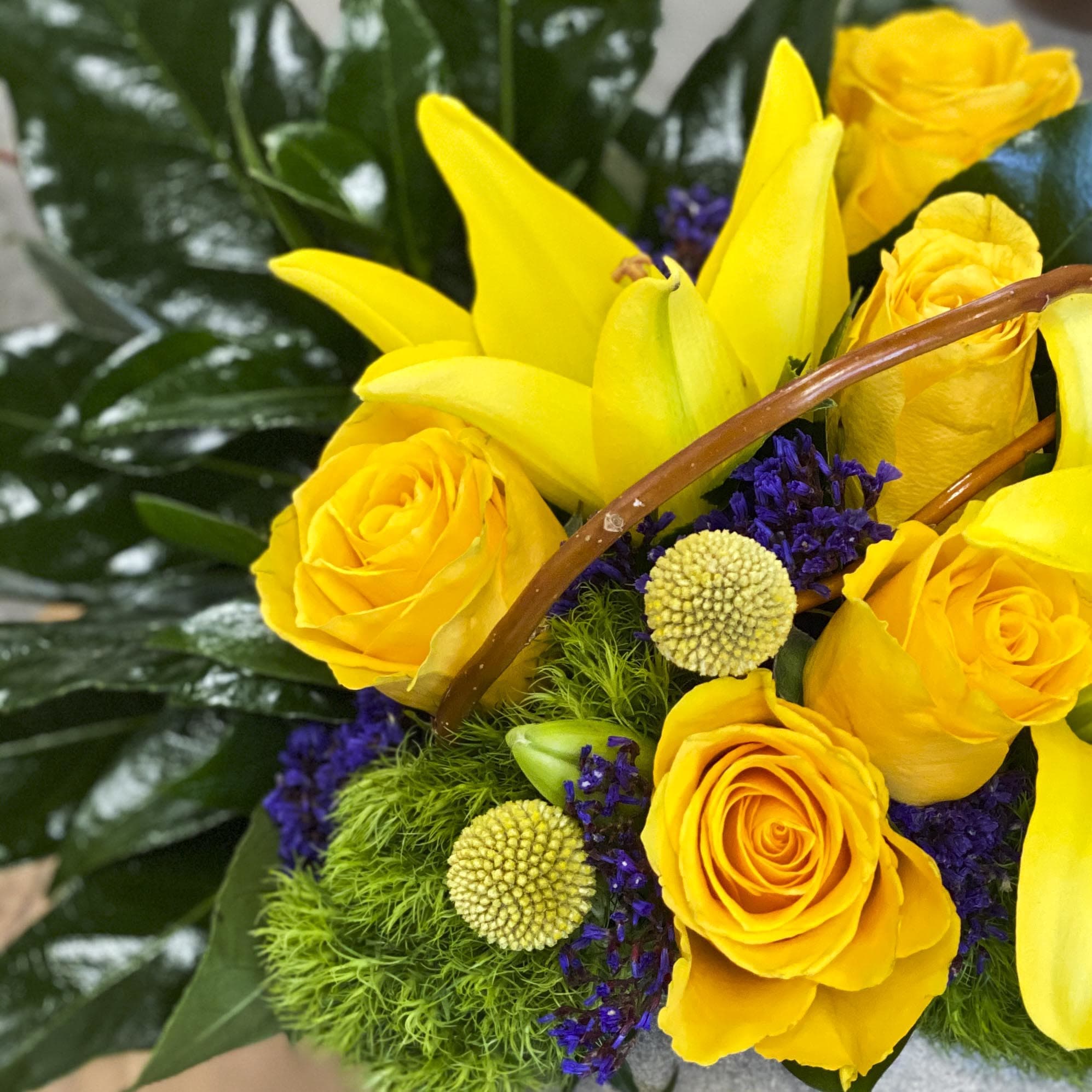 SUNNY DAYS in San Diego, CA | Wholesale Flowers