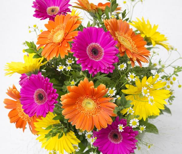 My Image 27