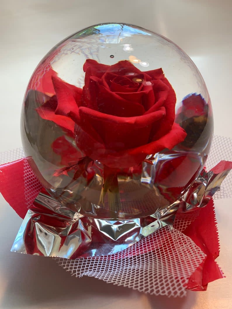 Natural Preserved Red Rose In A Water Glass Globe Aquarium in Brooklyn