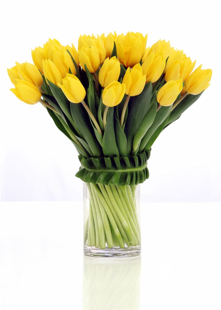 Yellow tulips in Miami Beach, FL | Miami Beach Flowers®