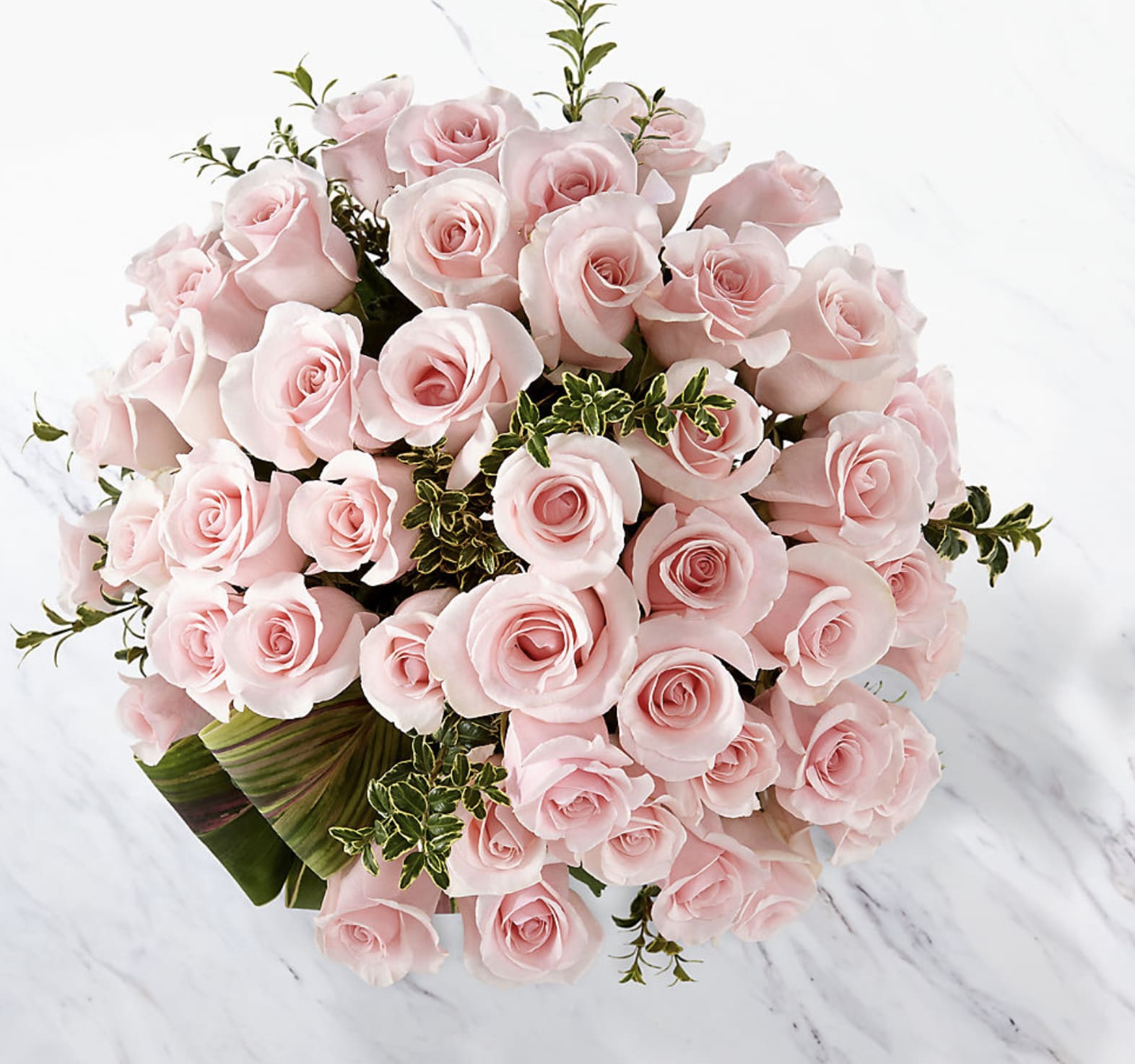 Delighted Luxury Rose Bouquet - 48 Premium Long-Stemmed Roses
